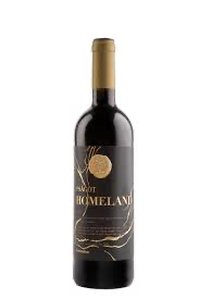 Psagot Homeland 2023. פסגות הומלנד