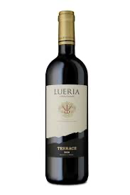 Lueria terrace 2023. לוריא טרסה